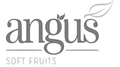 Angus Soft Fruits